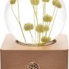 Flora Yellow Flax - Image 4