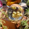 Flora Yellow Flax - Image 2
